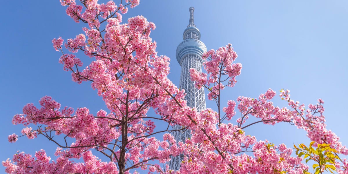 Japan is encouraging Americans to visit with free domestic flights. Here's how to book.