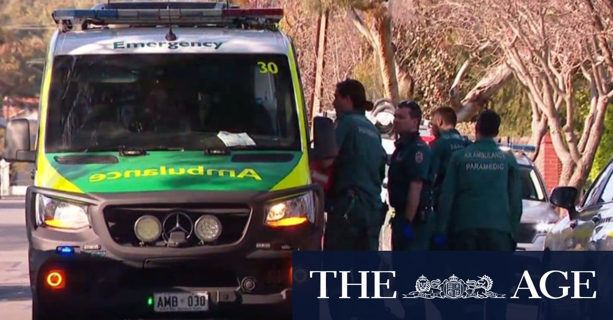 18-month-old girl dies after being struck by ute