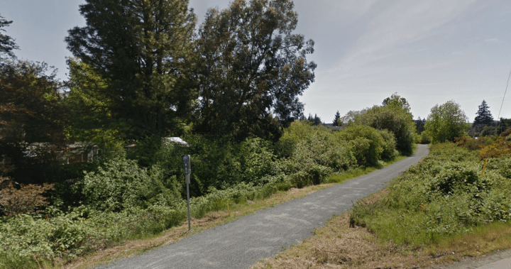 4 youths attacked by stranger on Galloping Goose Trail: West Shore RCMP