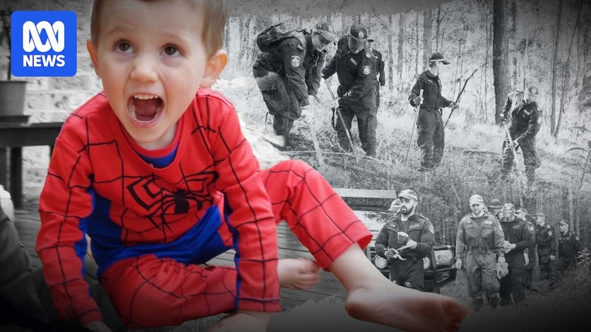 A decade on from disappearance of three-year-old William Tyrrell, we may never know what happened