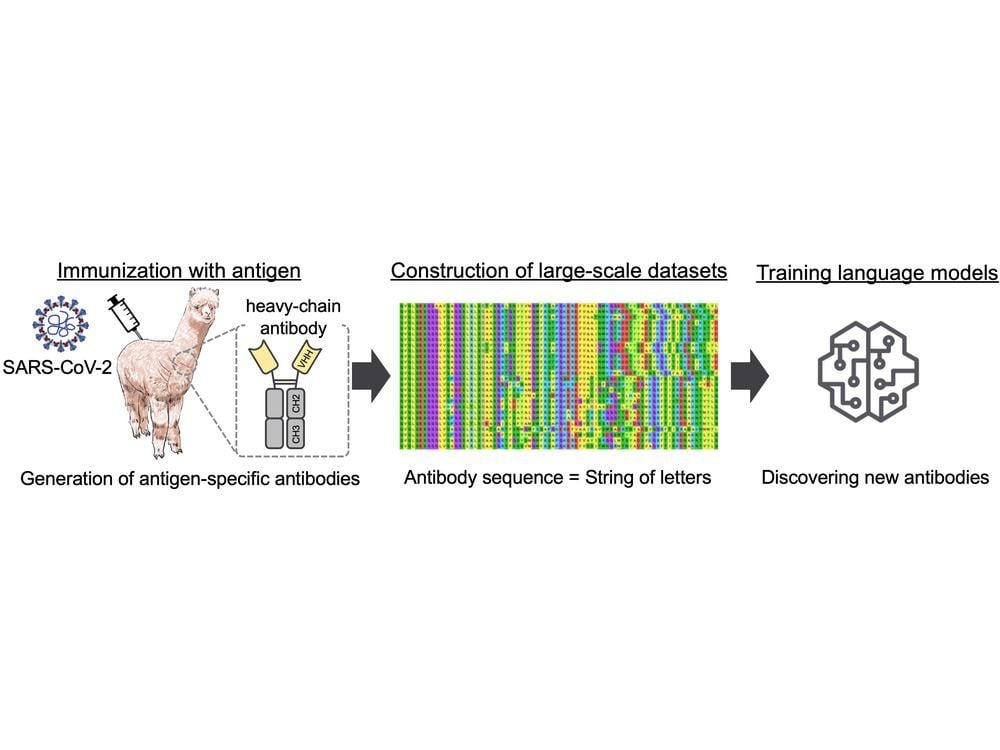 A research paper on AI-driven drug discovery by SAKURA internet and COGNANO was accepted by NeurIPS 2024, a prestigious AI conference