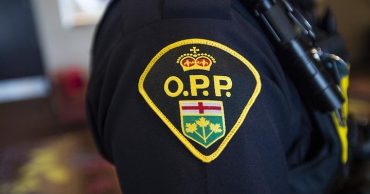 Animal dies after being found on fire in Ontario, police investigating