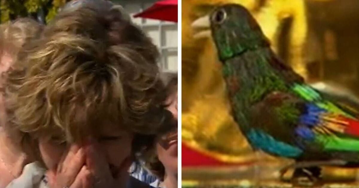 Antiques Roadshow guest close to tears when torn on selling 'dizzily valuable' musical box