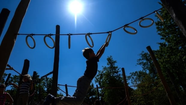 Are playgrounds too safe? Why anthropologists say kids need to monkey around