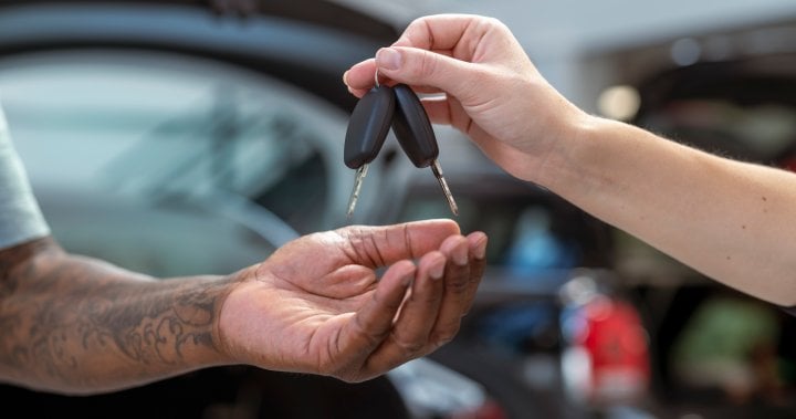 Auto theft group caught after $3M in vehicles stolen from Toronto area: police