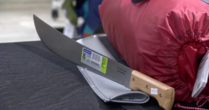 B.C. calls on Ottawa to restrict sale of machetes in bid to curb street crime