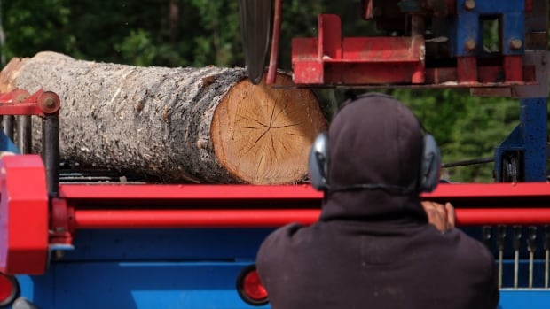 B.C. sawmill closures blamed on 'punishing' U.S. softwood lumber duties, high operating costs