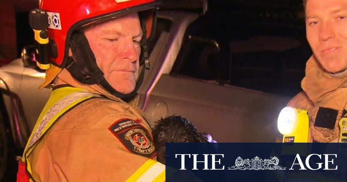 Brave neighbours rescue wheelchair-bound man from fire