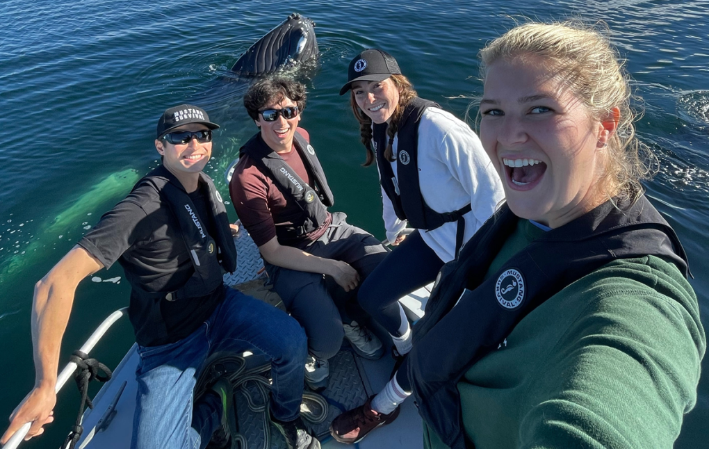 Breathtaking encounter with humpback whales captured by B.C. filmmakers