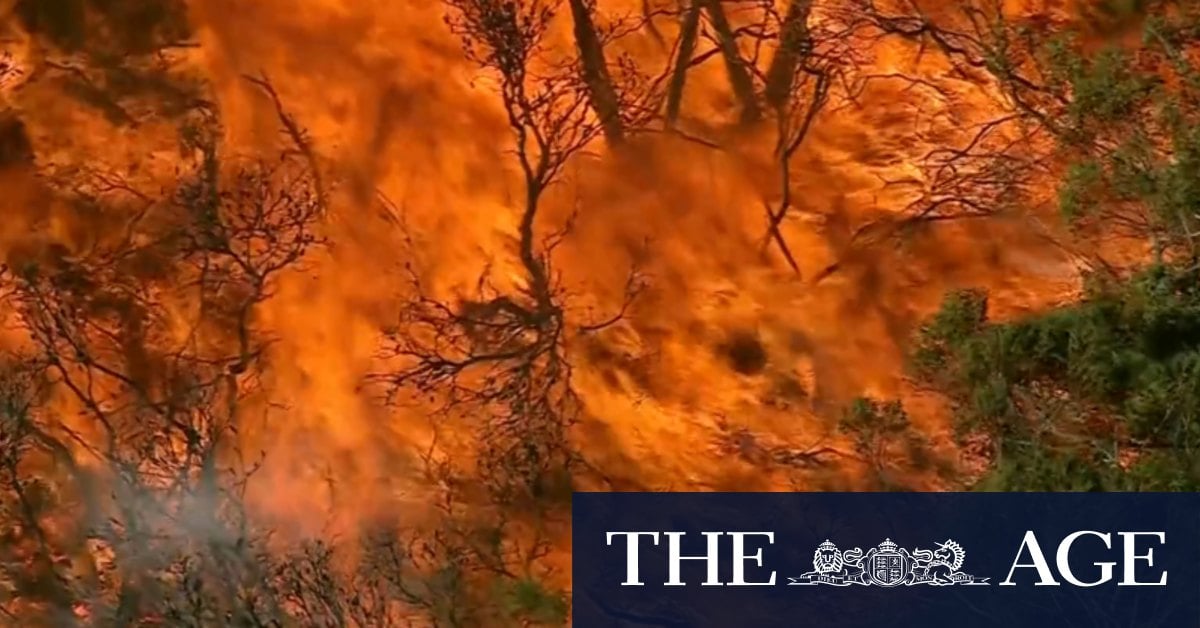 Bushfire warning in Sydney's north downgraded as conditions begin to ease