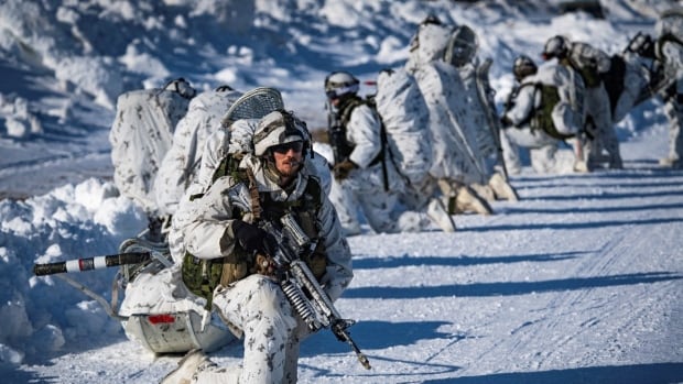 Canadian Army says new military sleeping bags not suitable for 'typical Canadian winter'