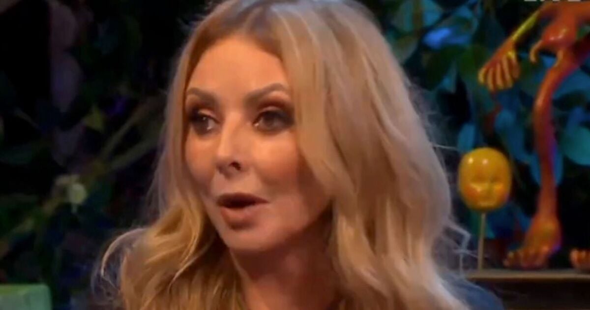 Carol Vorderman sparks fury with Starmer 'apology' remark: 'Doesn't keep pensioners warm'