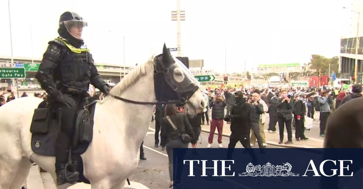 Claims that police operation against Melbourne protests cost taxpayers $30 million