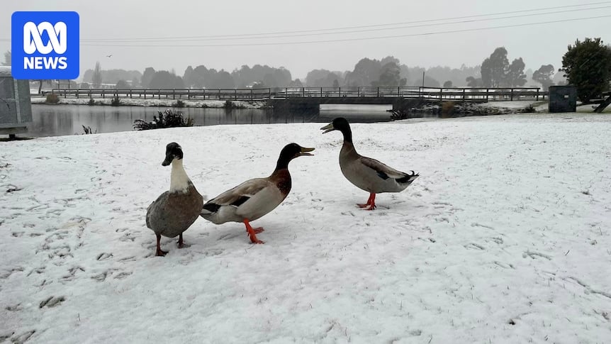 Cold snap leads to snow, hail and frost in unseasonable spring weather across south-east Australia