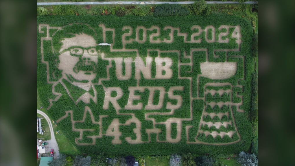 Corn maze honours a N.B. hockey team's golden shutout season