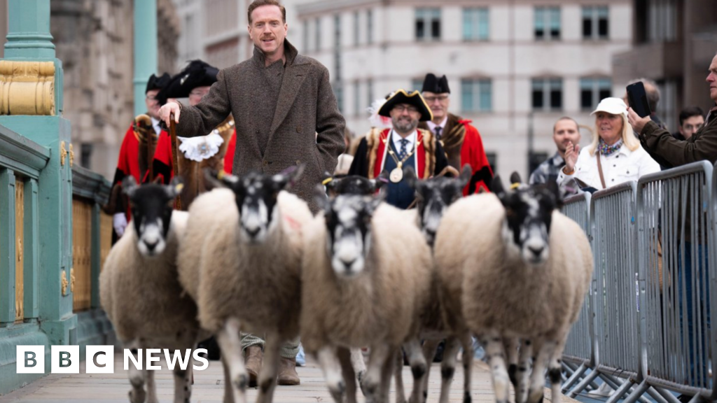 Damian Lewis shepherds sheep over London bridge