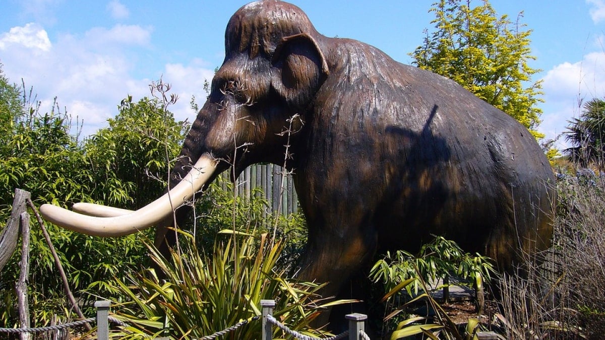 Did Pollen Allergies Cause Woolly Mammoths' Extinction? New Study Proposes a Surprising Theory