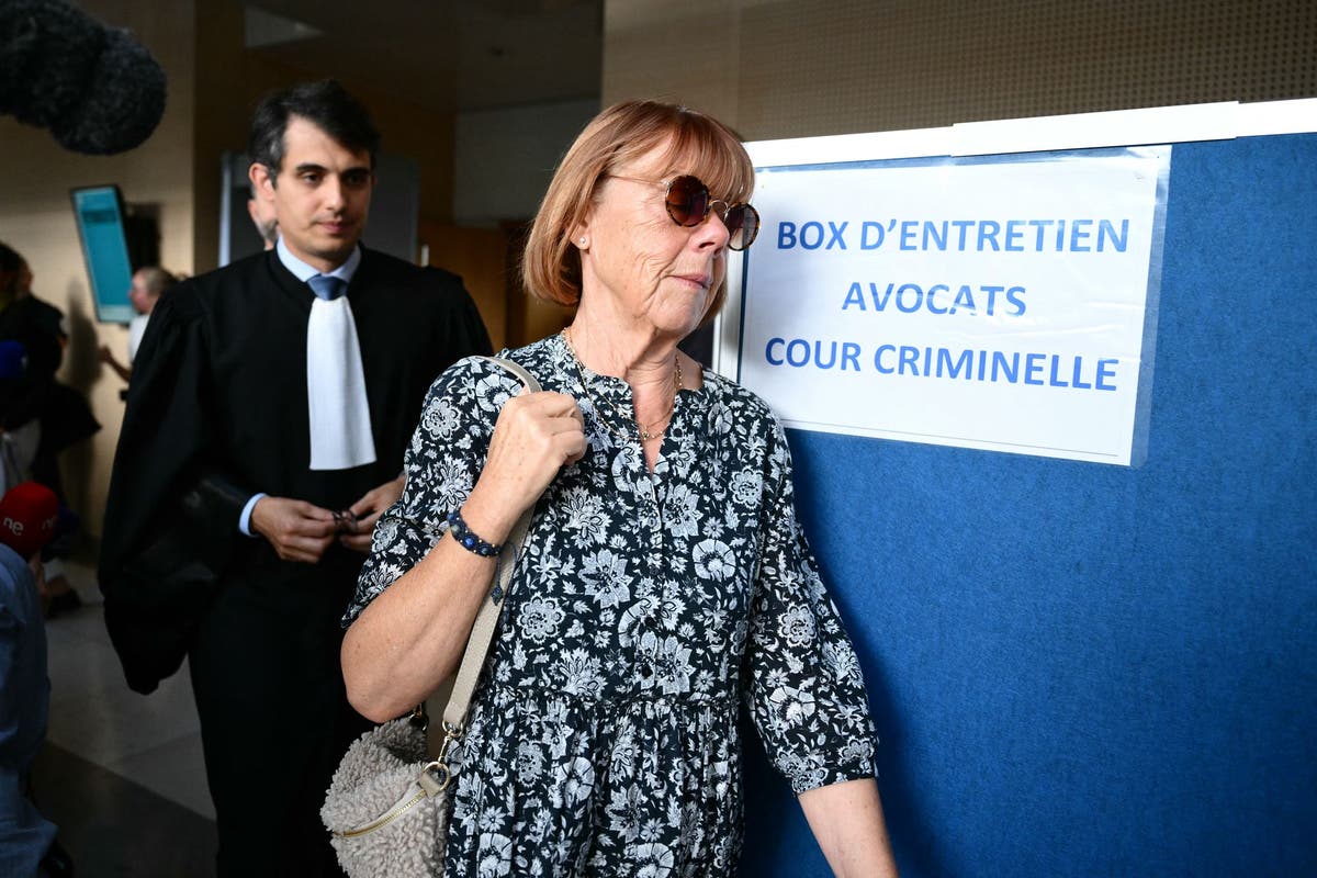 Dominique Pelicot: 'I am a rapist' admits husband in France mass rape trial that has horrified nation 