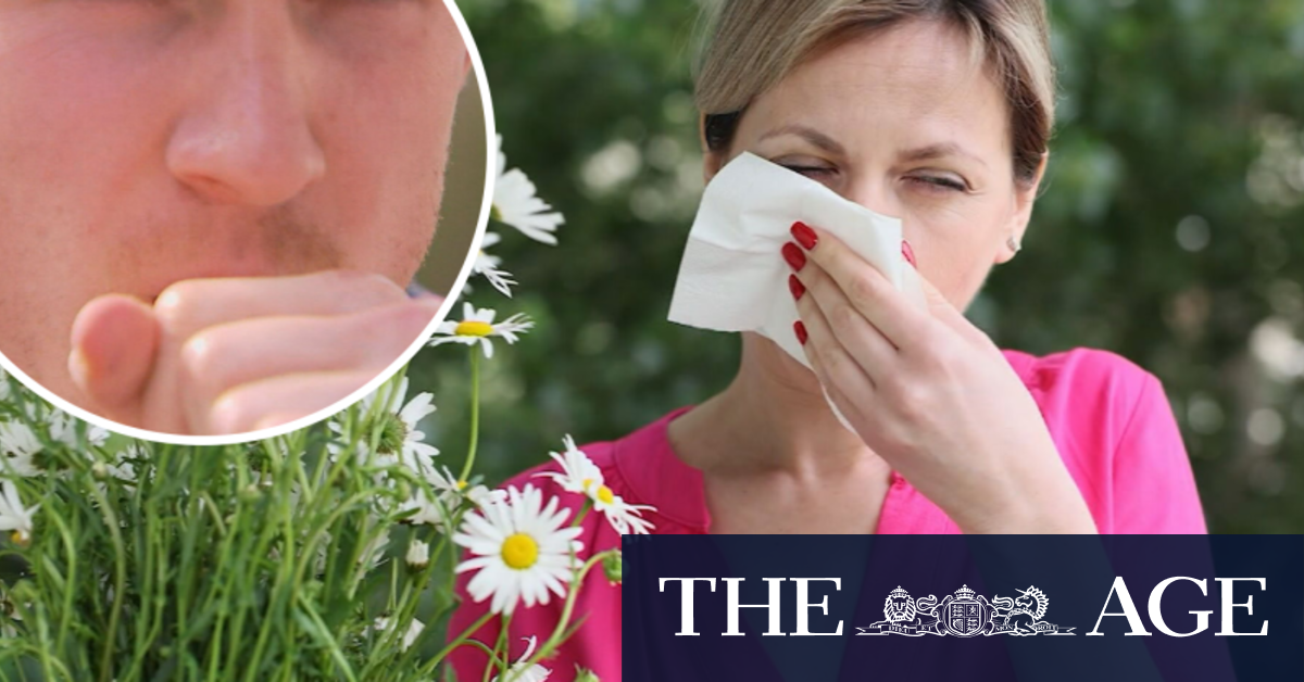 Early hay fever season sparks health warning from doctors