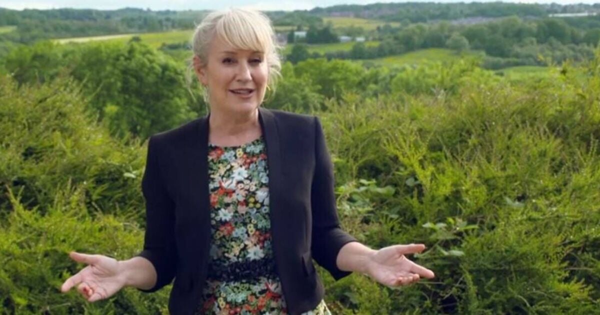 Escape to the Country's Nicki Chapman forced to step in over 'problem' as fans baffled