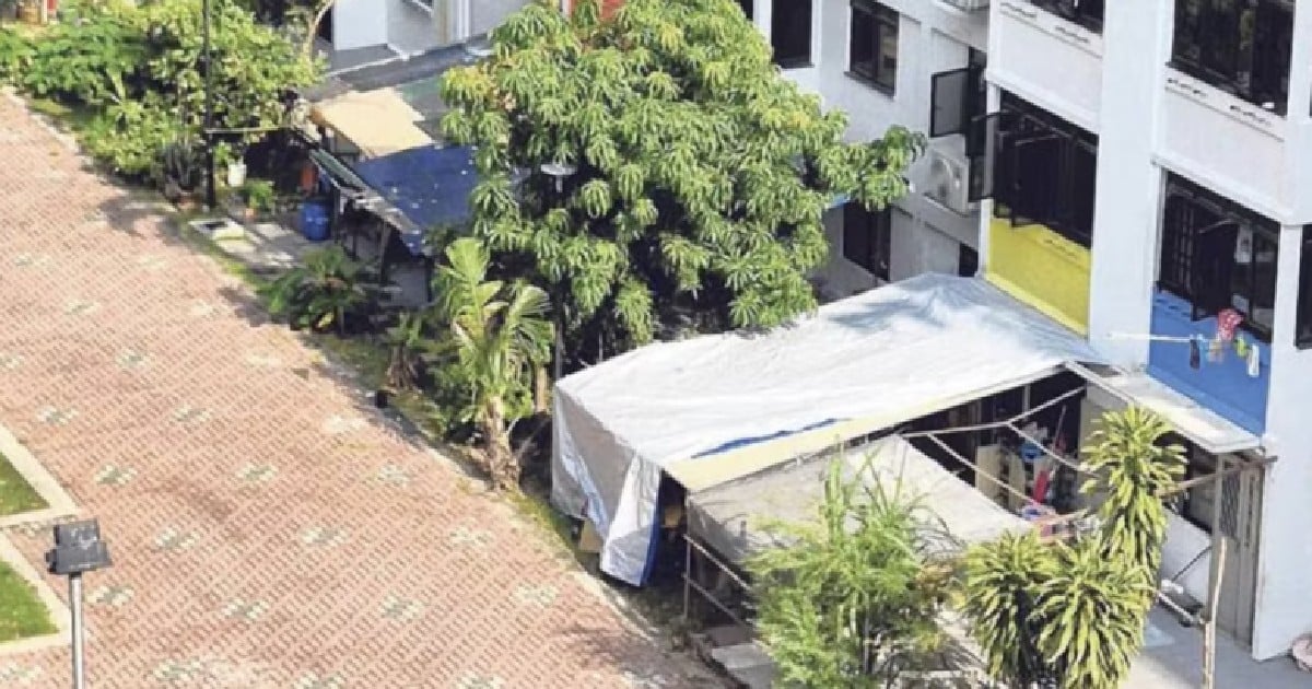 Faeces and cigarette butts: Frustrated ground-floor residents at Circuit Road install awnings to combat litter