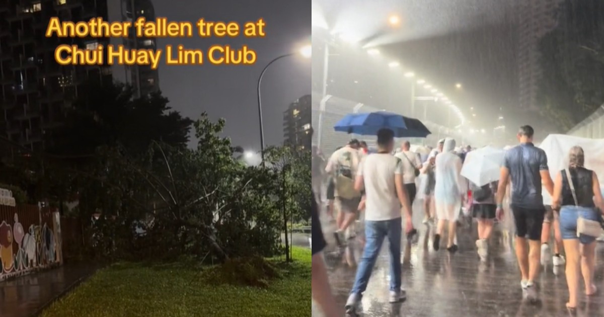 Fallen trees, drenched F1 goers: Singapore hit by another round of strong winds and heavy rains