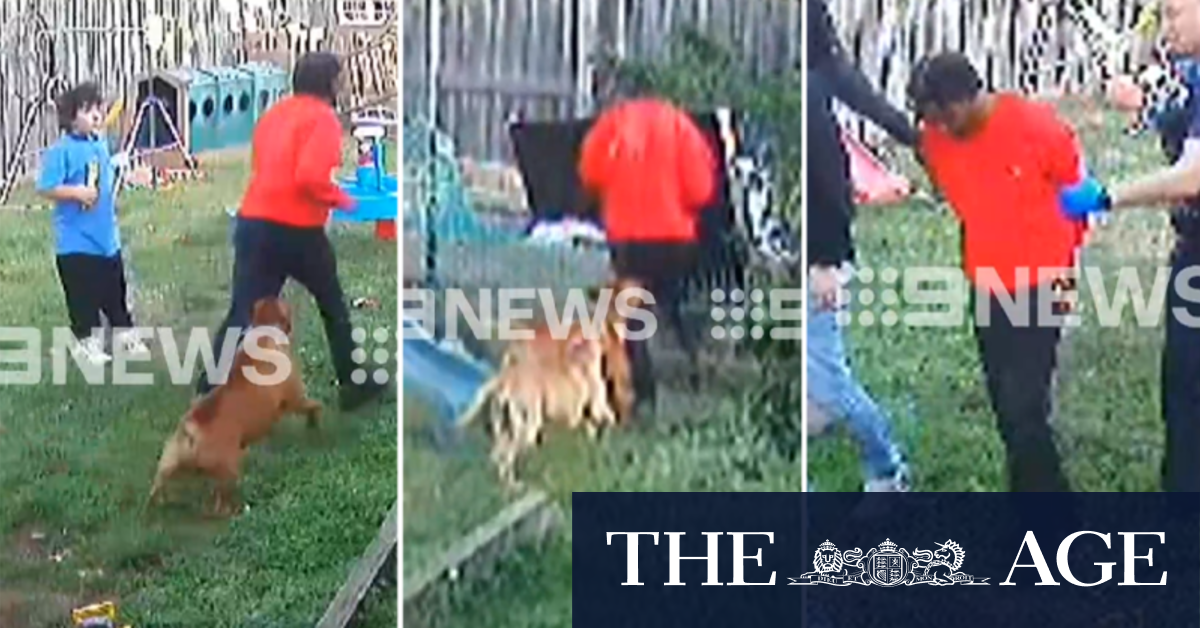 Family dog chases down dangerous fugitive after violent machete attack 