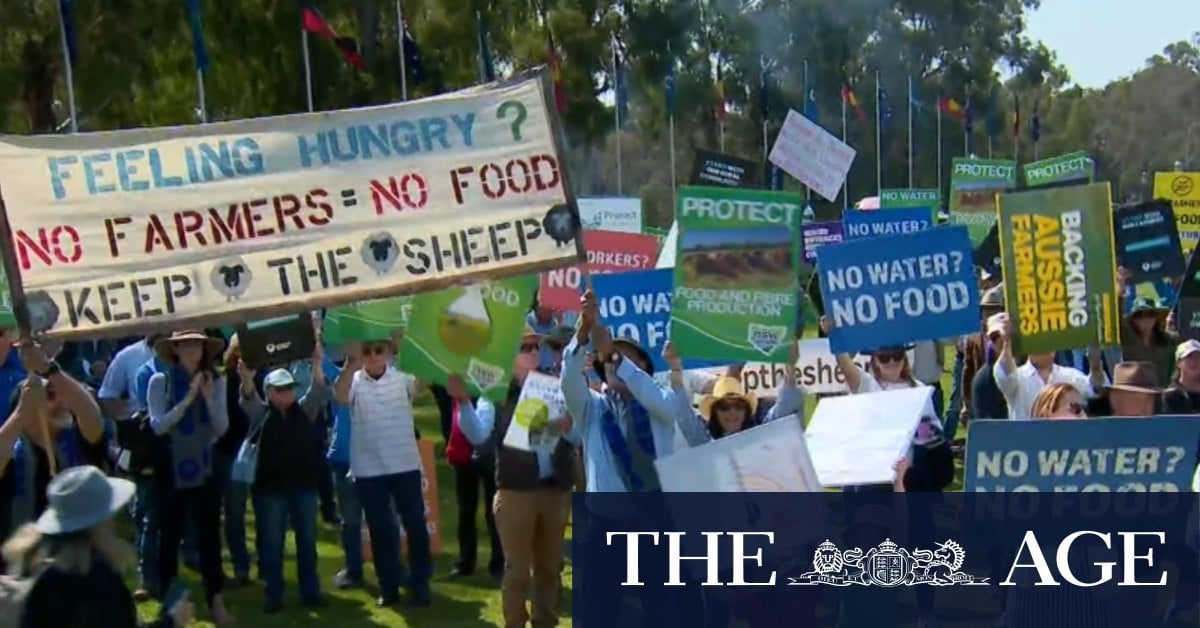 Farmers protest government's live sheep export ban