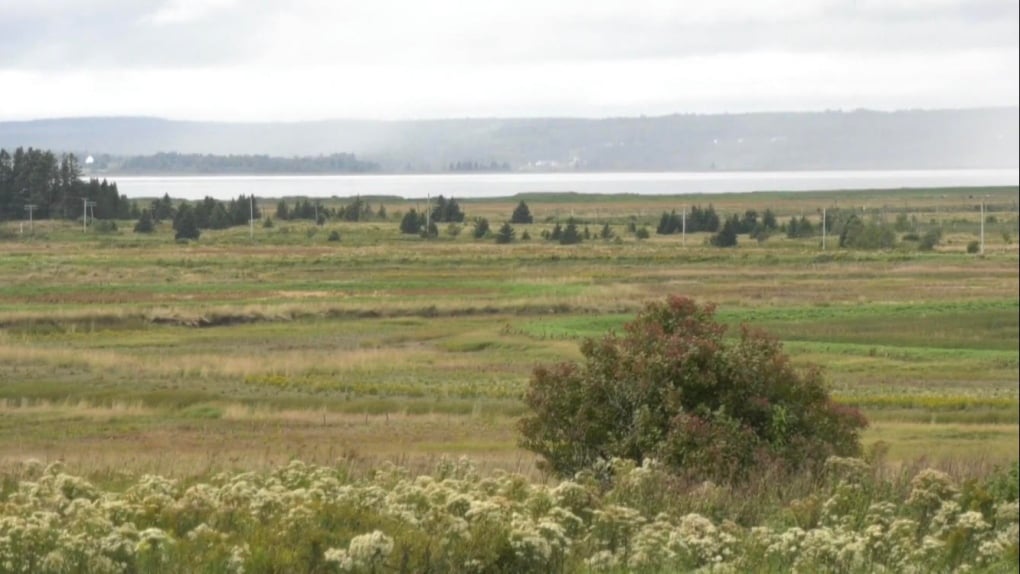 Feds tell N.S. and N.B. to pay half of Chignecto Isthmus costs 'before it is too late'