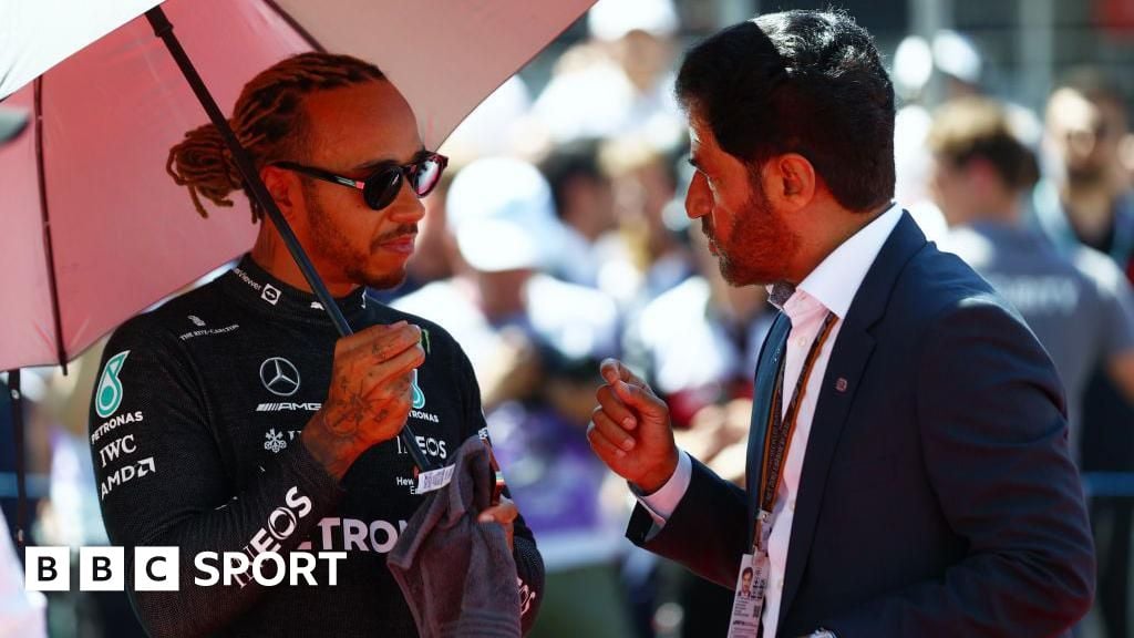 FIA boss used 'stereotypical' language - Hamilton