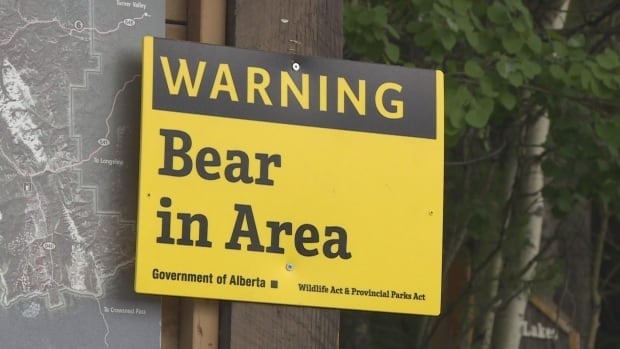 Hiker in hospital after bear attack in Crowsnest Pass, Alta.