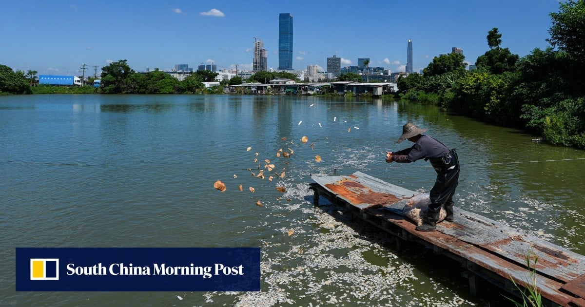 Hong Kong freshwater fish farms log 30% drop in business amid outbreak of deadly infection