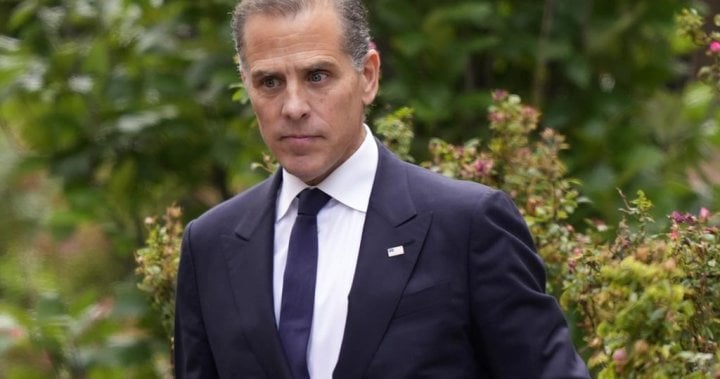 Hunter Biden pleads guilty to federal tax charges months after gun conviction