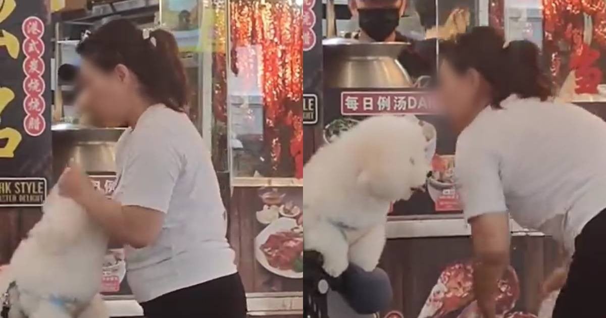 'Inconsiderate and selfish': Woman criticised for cleaning pet dog's fur at Yishun coffee shop