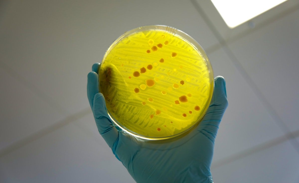 Invisible Killer - What Is Antimicrobial Resistance?