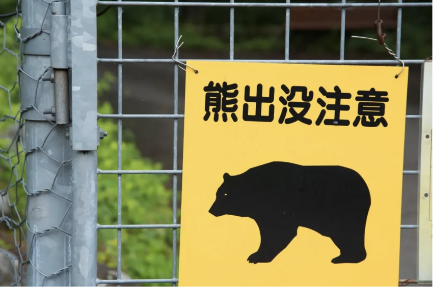 Japanese mom says she kicked wild bear while holding baby in her arms after sudden scary encounter