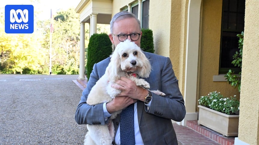 Labor is flirting with a double dissolution, but such threats only work when the people you're threatening take it seriously