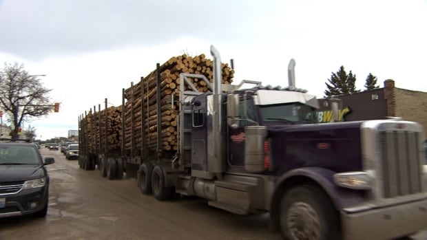 Logging giant Canfor transfers its 4th largest forest tenure in B.C. to 2 First Nations