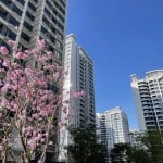 Macau New Neighborhood enticements see 1,300 units sold