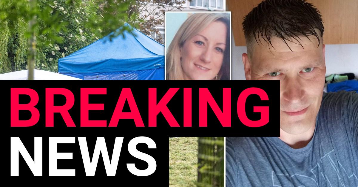 Man admits murdering woman before disposing her body parts around south London