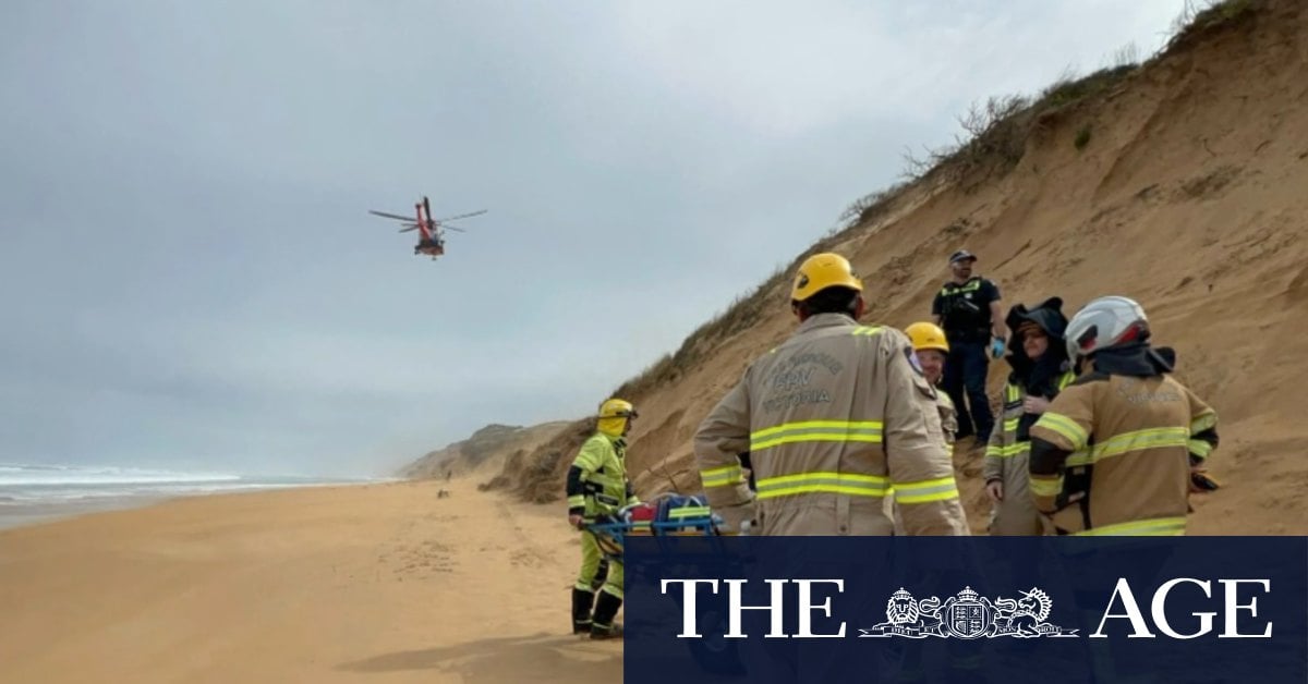 Man breaks both legs after dogs pull him down 30-metre sand dune