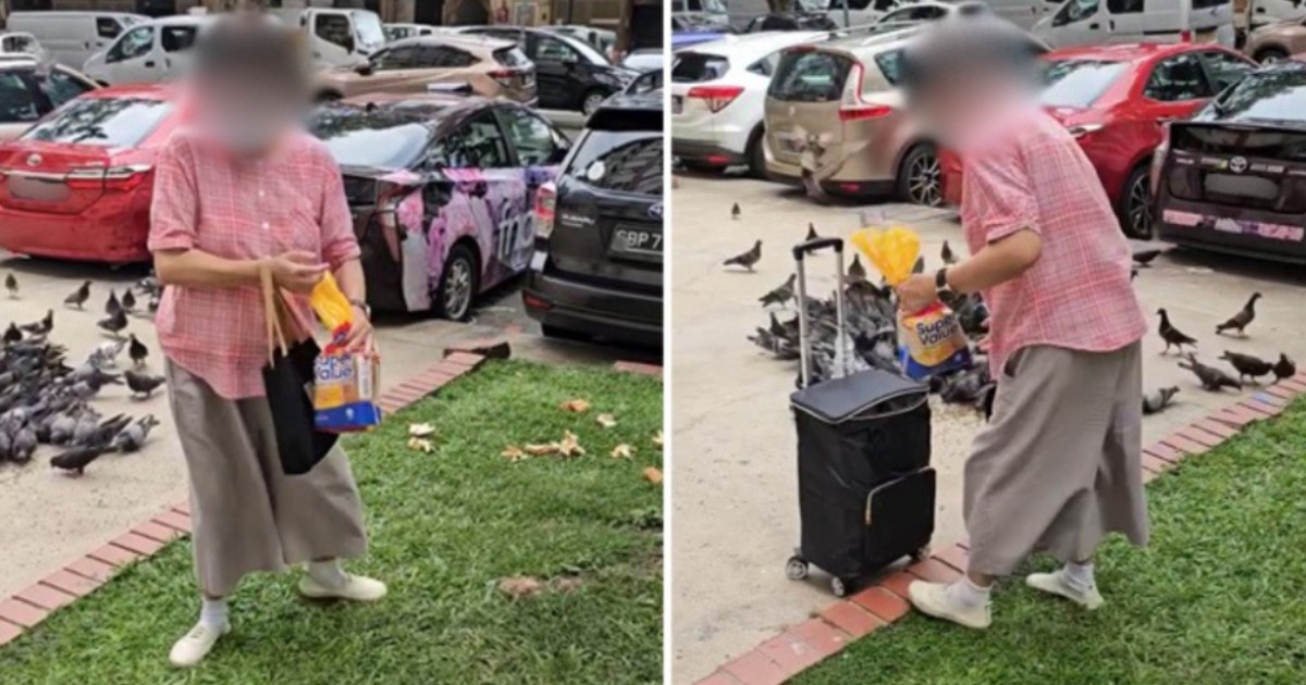 Man confronts woman who feeds pigeons daily in Bukit Merah despite action by NParks