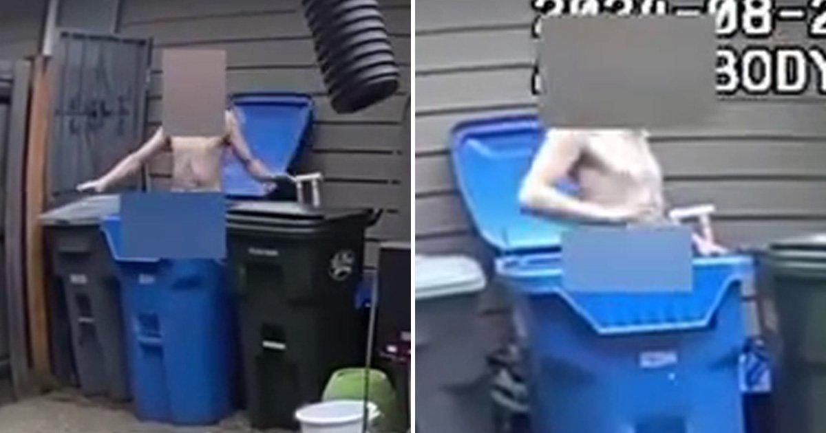 Moment naked man in a garbage bin is busted as vehicle theft suspect