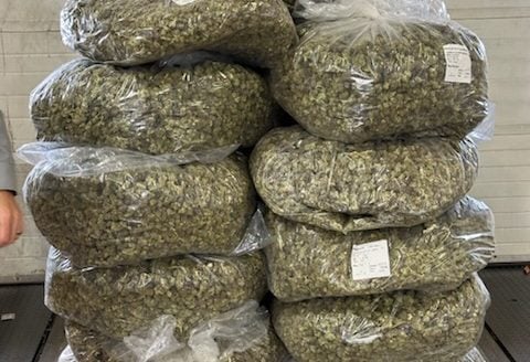 Mounties seize 600 kilos of illicit cannabis in Manitoba traffic stop