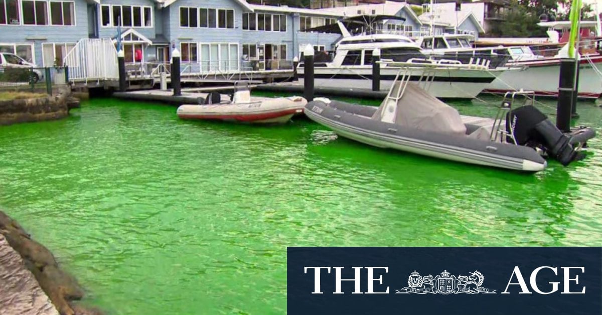 Mysterious neon green water appears in Sydney Harbour