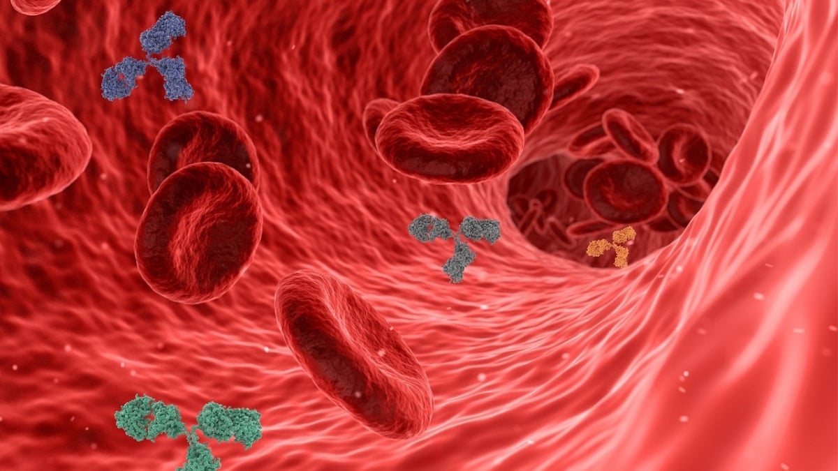 New MAL Blood Group System Identified, Revealing Genetic Basis of Rare Blood Types