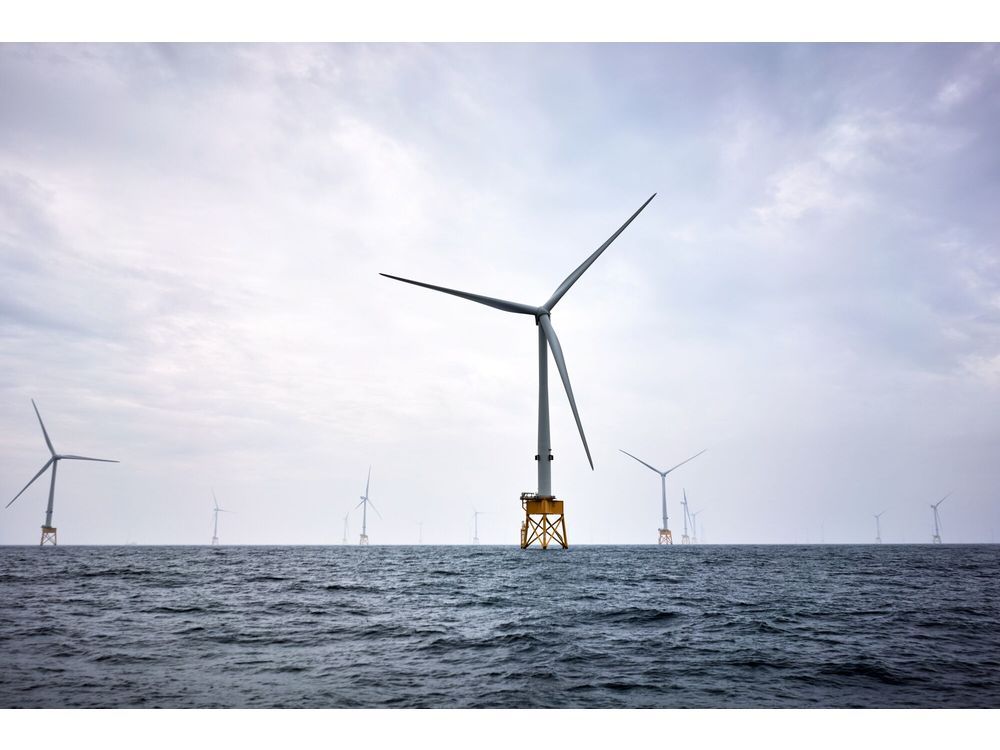 Offshore Wind Proponents Back Harris as Political Risk Mounts