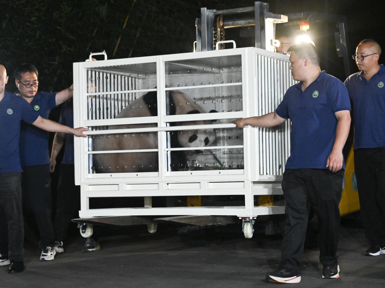 Pandas gifted by Beijing set off for Hong Kong