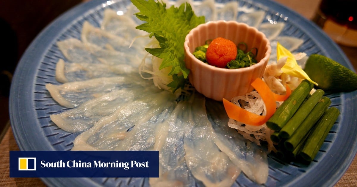 Poisonous pufferfish preparation test passed by girl, 10, in Japan. Chef calls her amazing