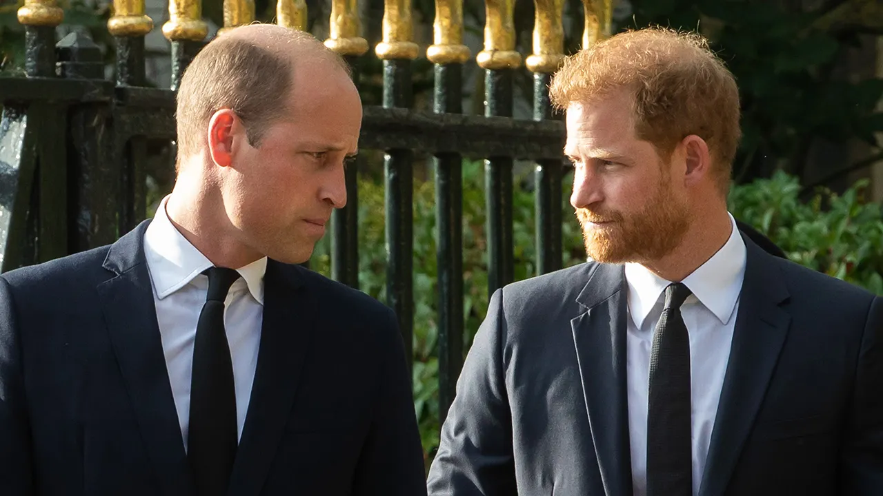 Prince William, Prince Harry feud could finally be resolved thanks to Princess Diana's family: expert